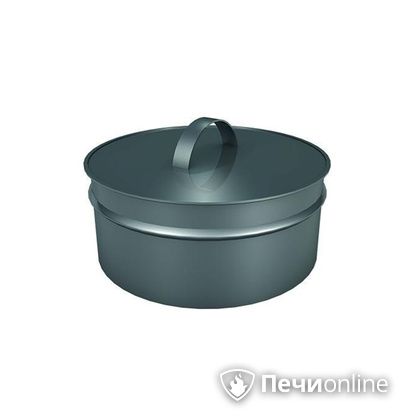 Заглушки Теплов и Сухов Заглушка ревизии Термо-Р 304 0.5 D250(150) в Петропавловске-Камчатском