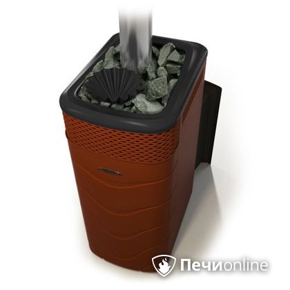 Дровяная банная печь TMF Гейзер XXL 2017 Inox Витра закрытая каменка терракота в Петропавловске-Камчатском